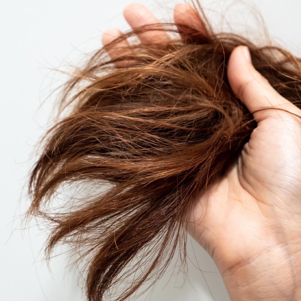 Help for Your Dry Processed Hair Charles Ifergan Salon