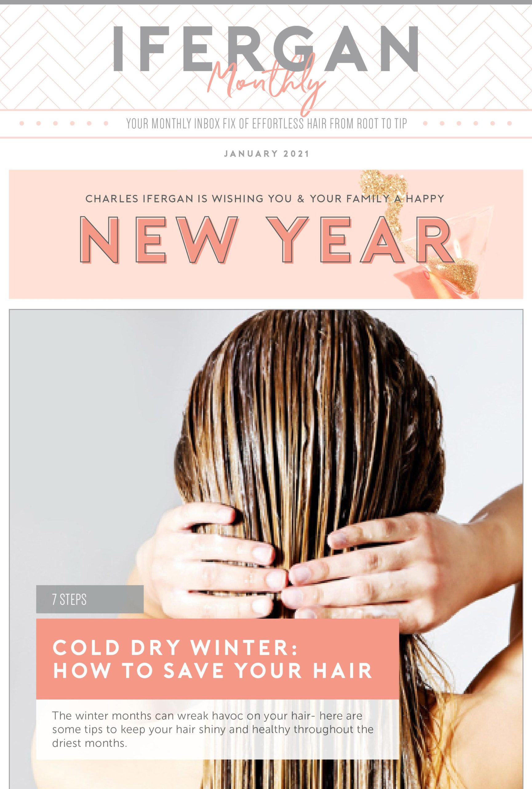 January 2021 Newsletter Chicago's Top Hair Salon
