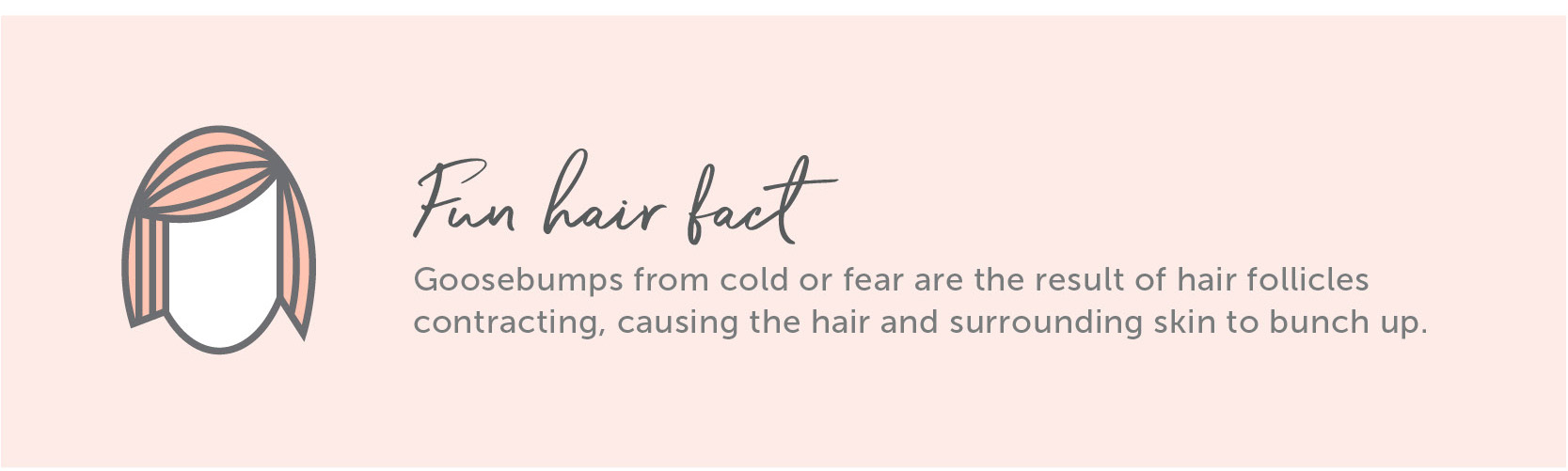 Fun Hair Fact - Goosebumps from cold are the result of hair follicles contracting, causing the surrounding skin to bunch up.