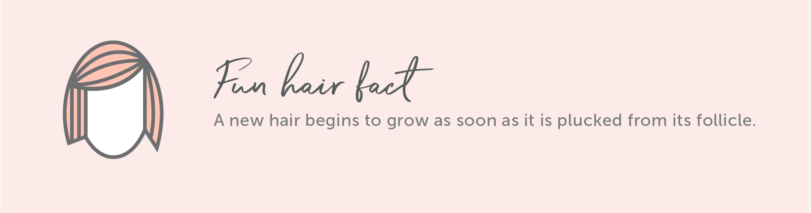 Hair Fact A new hair begins to grow as soon as it is plucked from its follicle.