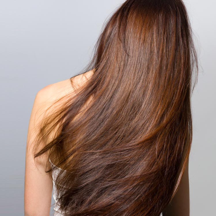 Sleek brown hair