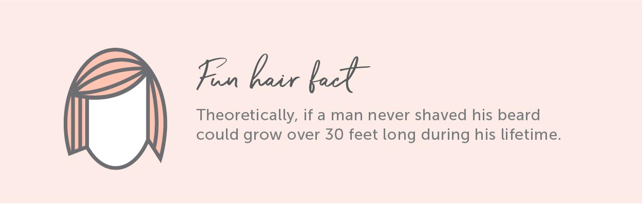 Hair Fun Fact. Theoretically, if a man never shaved his beard could grow over 30 feet long during his lifetime.