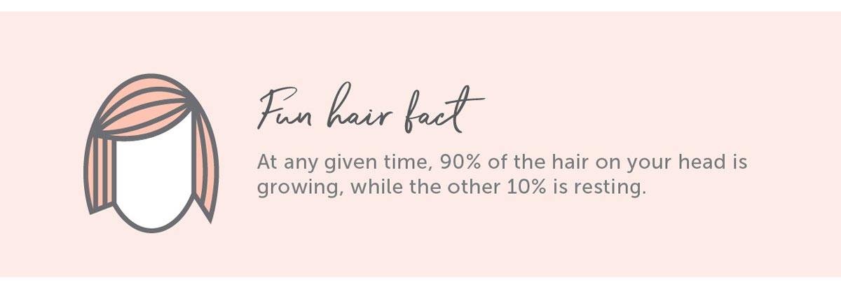 At any given time, 90% of the hair on your head is growing, while the other 10% is resting.