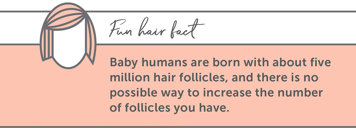 Fun Hair Facts: Baby humans are born with about five million hair follicles, and there is no possible way to increase the number of follicles you have.