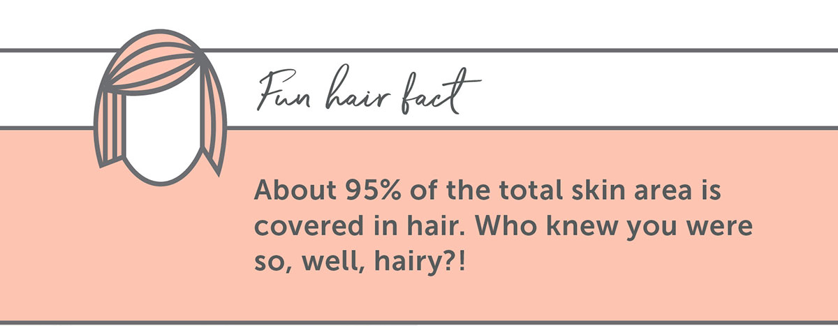 About 95% of the total skin area is covered in hair. Who knew you were so, well, hairy?!