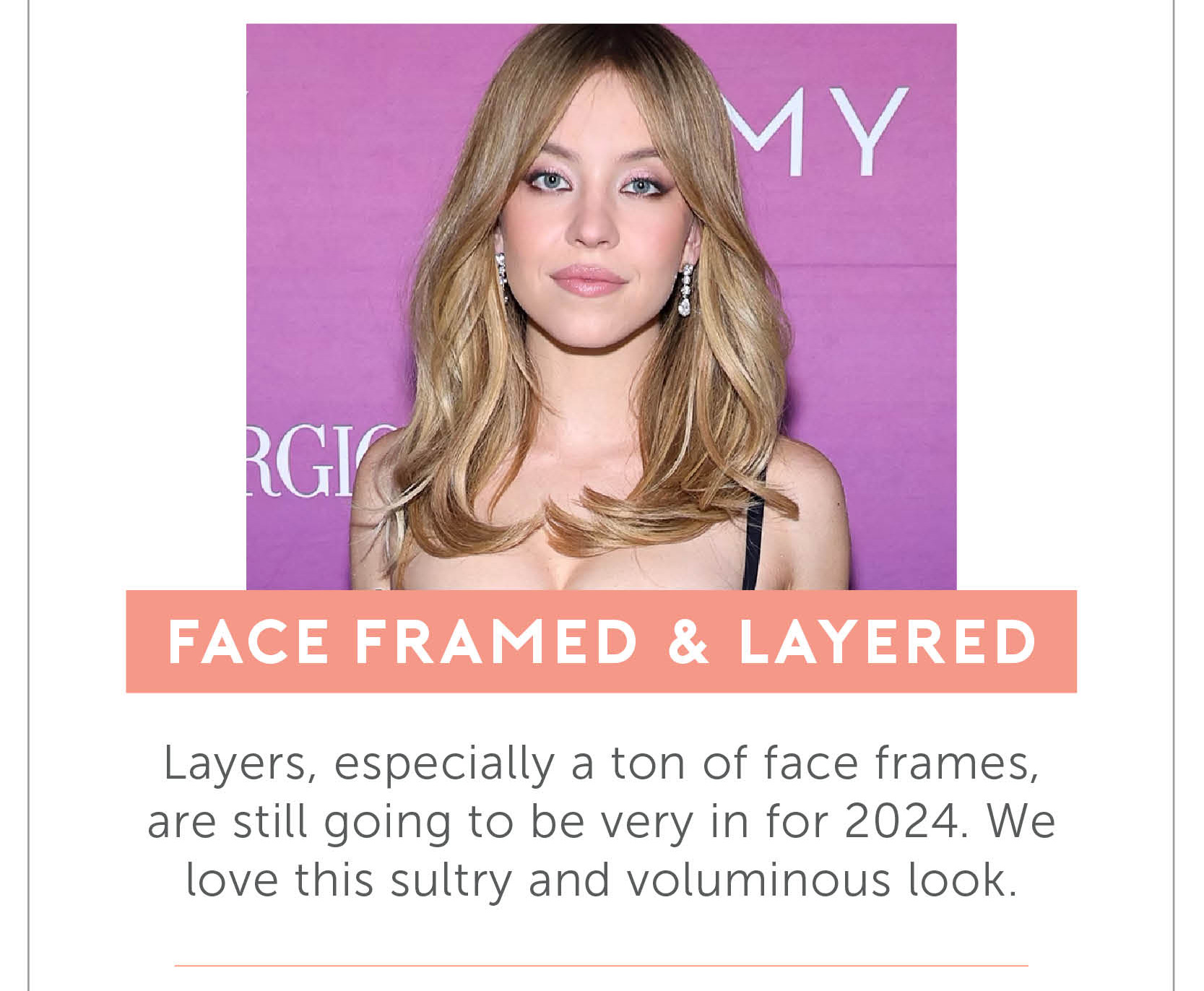 Face Framed and layered- Layers, especially a ton of face frames, are still going to be very in for 2024. We love this sultry and voluminous look.