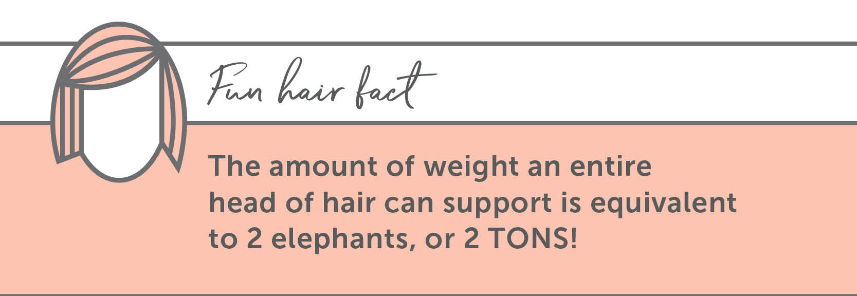 Hair Fun Facts - The amount of weight an entire head of hair can support is equivalent to 2 elephants, or 2 TONS!