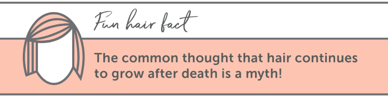 Fun hair fact - the common thought that hair continues to grow after death is a myth! 