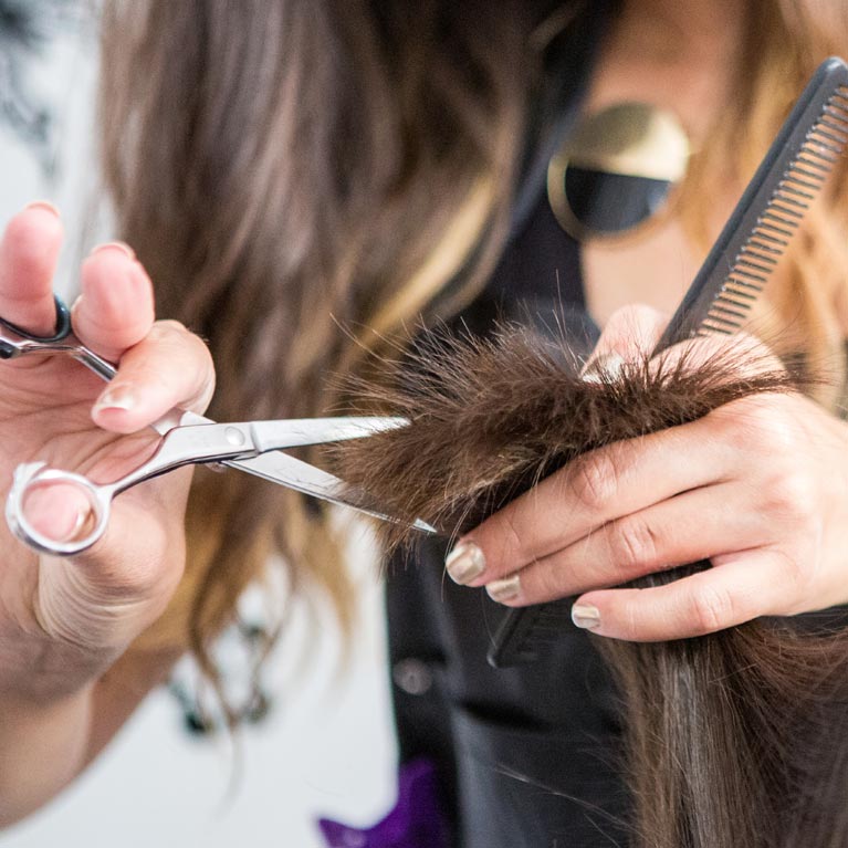 Hairstylist trimming dry hair.