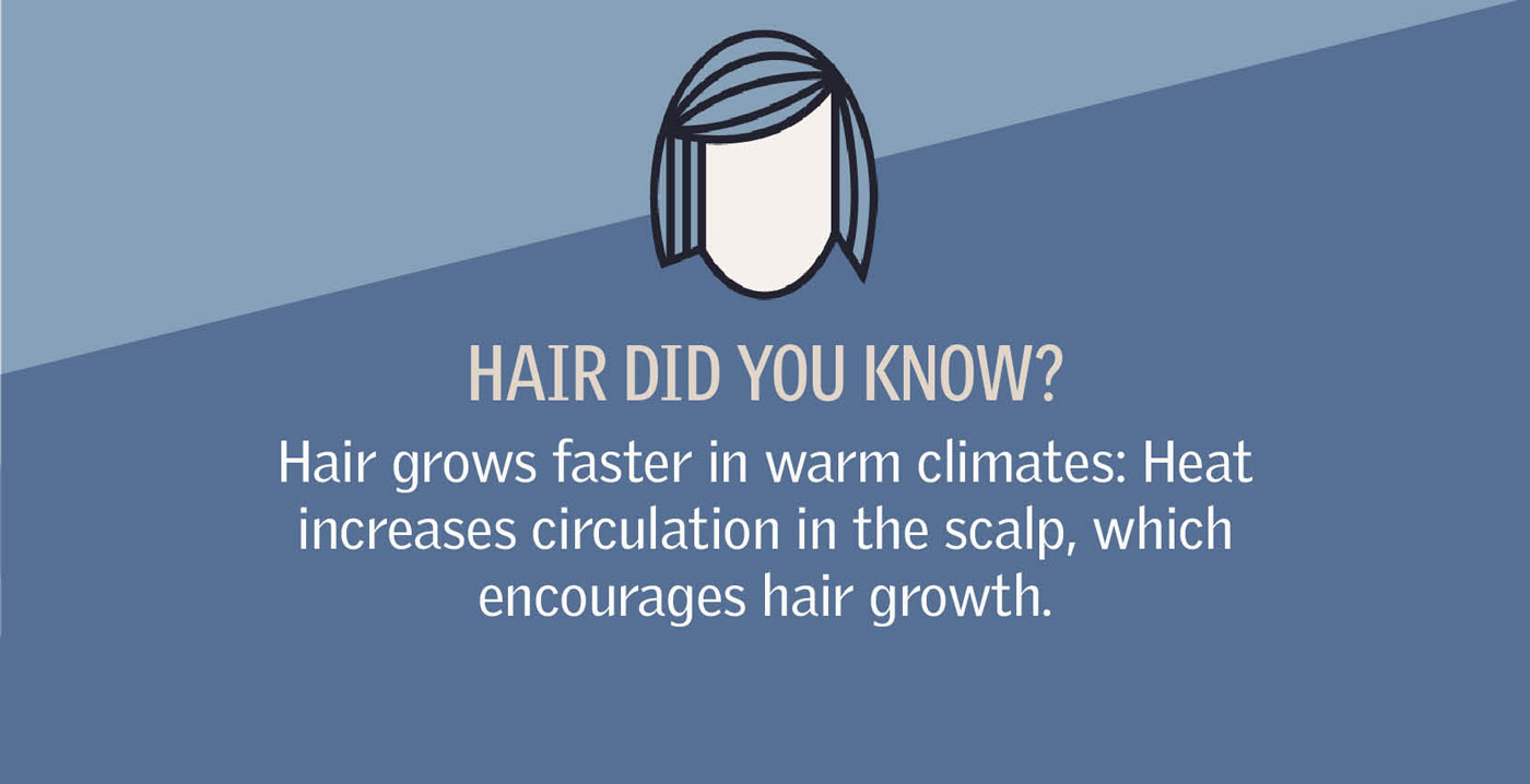 Fun Hair Fact
Hair grows faster in warm climates: Heat increases circulation in the scalp, which encourages hair growth. 
