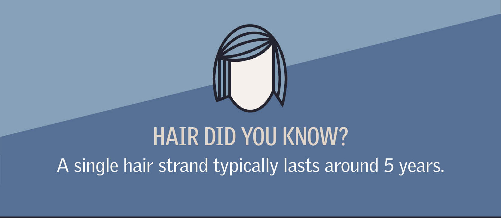 Hair did you know? A single hair strange typically lasts around 5 years.