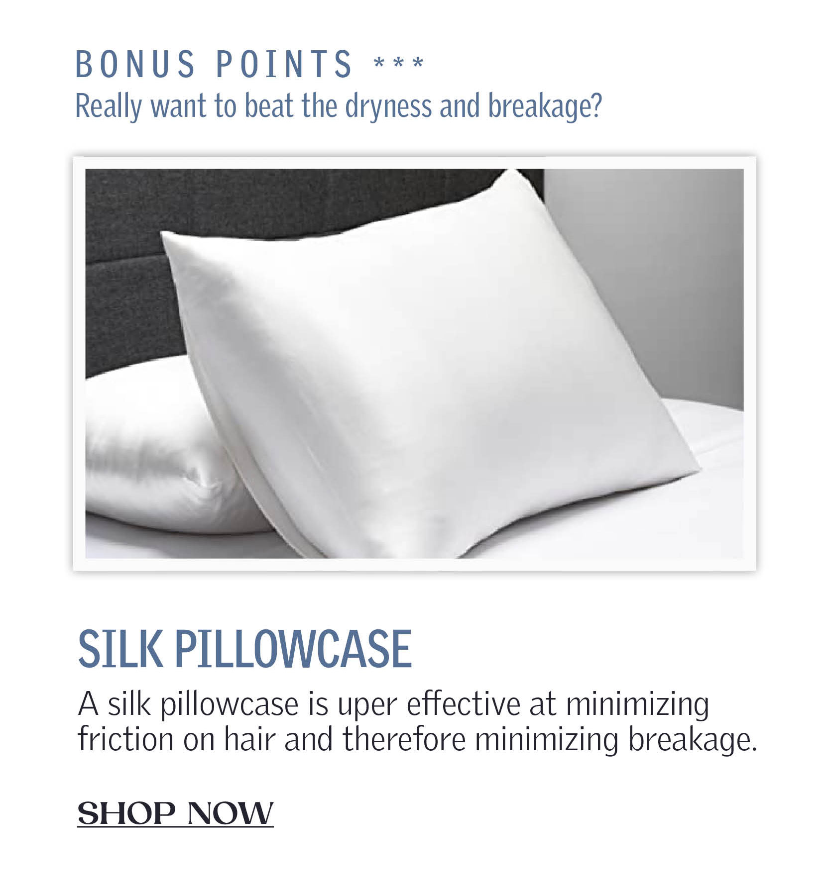 Bonus Points! Really want to beat the dryness and breakage? A silk pillowcase is super effective at minimizing friction on hair and therefore minimizing breakage. CLICK TO SHOP NOW!