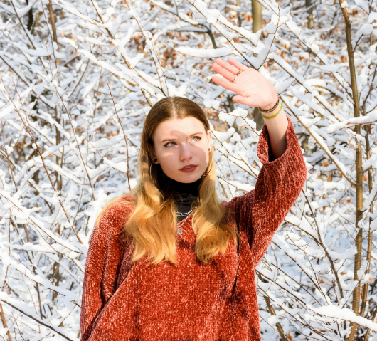 Charles Ifergan - January Newsletter 2026